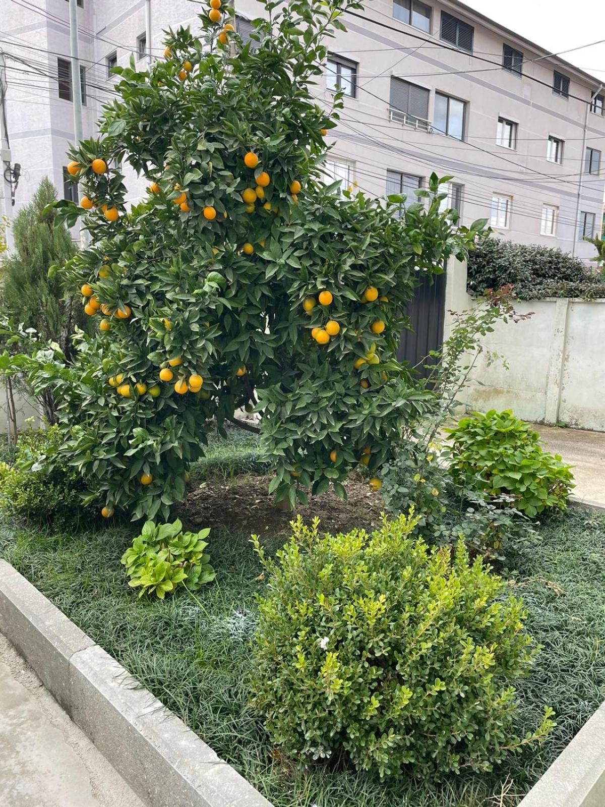 Kevi 'S Place Tiranë Ngoại thất bức ảnh